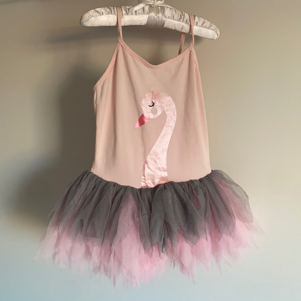Elegant swan tulle flared ombré skirt leotard girls stretch dance ballet dress